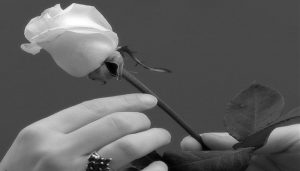 ماذا لو عدت معتذرا